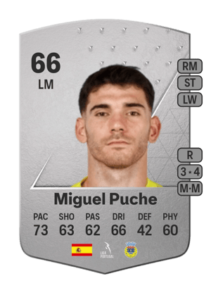 Miguel Puche