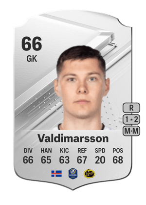 Hakon Valdimarsson