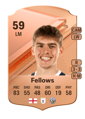 Tom Fellows