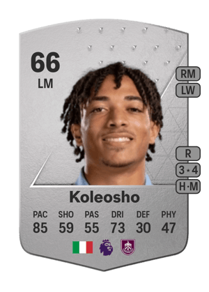 Luca Warrick Koleosho