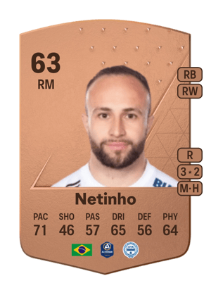 Netinho
