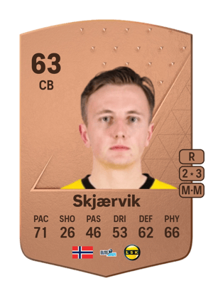 Vetle Skjærvik