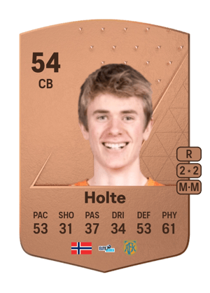 Stian Aarønes Holte