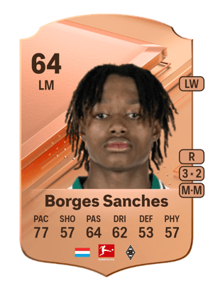 Yvandro Borges Sanches