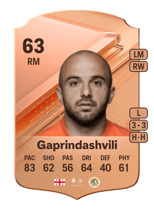 Tornike Gaprindashvili