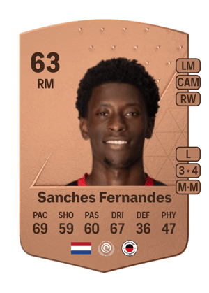 Derensili Sanches Fernandes
