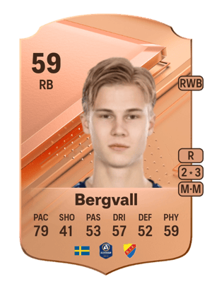 Theo Bergvall