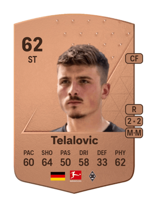 Semir Telalovic