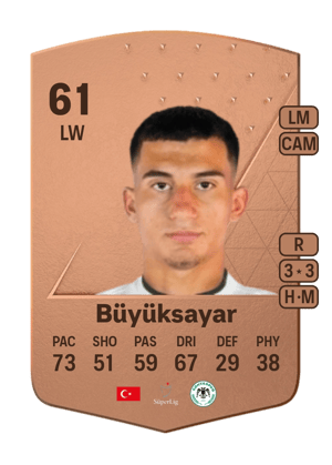 Mehmet Ali Büyüksayar