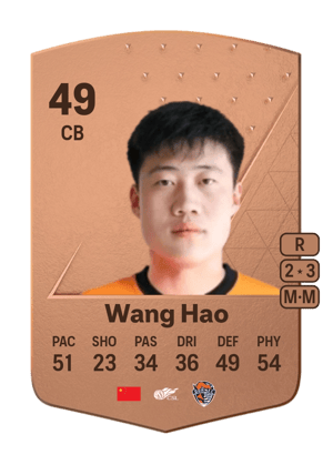 Wang Hao