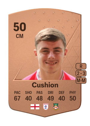 Cushion - 50 - Common