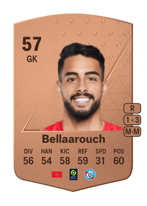 Alaa Bellaarouch