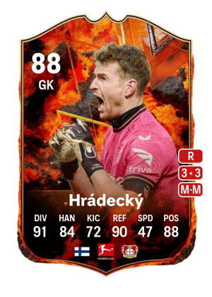Lukáš Hrádecký