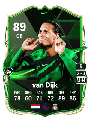 van Dijk - 89 - Nike