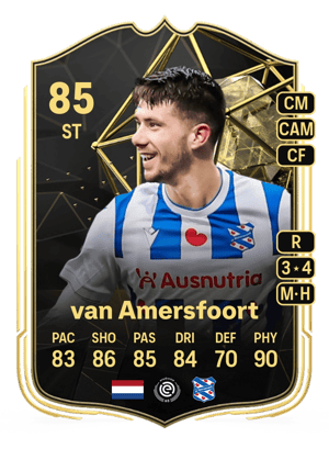 Pelle van Amersfoort