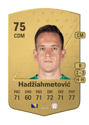 Amir Hadžiahmetović