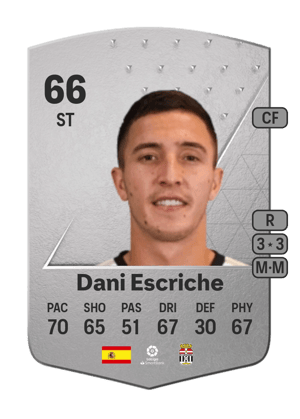 Dani Escriche