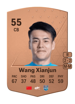 Wang Xianjun
