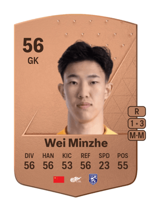 Wei Minzhe