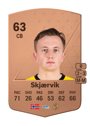 Vetle Skjærvik