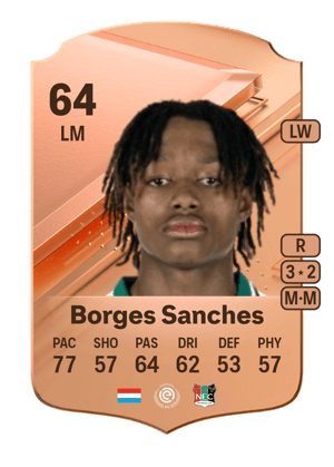 Yvandro Borges Sanches