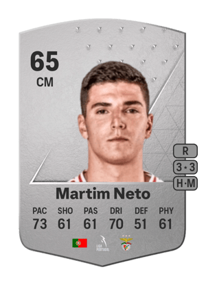 Martim Neto
