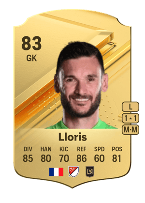 Hugo Lloris