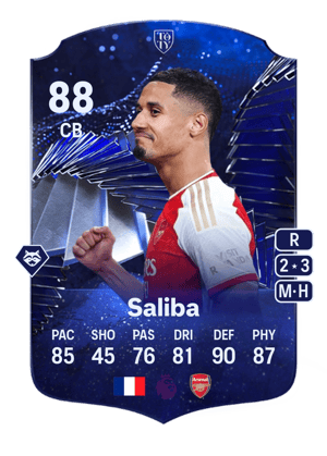 Saliba - 88 - TOTY Honourable Mentions