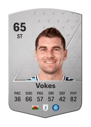 Sam Vokes