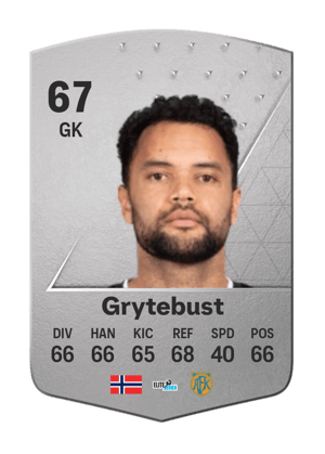 Sten Michael Grytebust