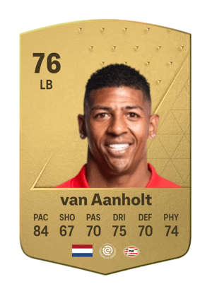 Patrick van Aanholt
