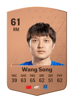 Wang Song