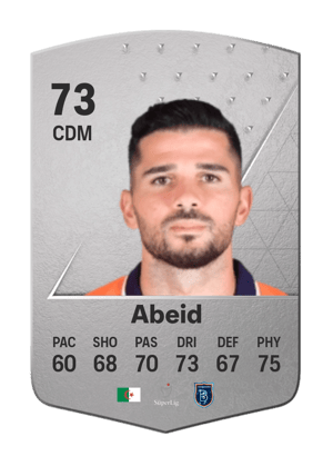 Mehdi Abeid