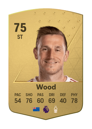 Chris Wood