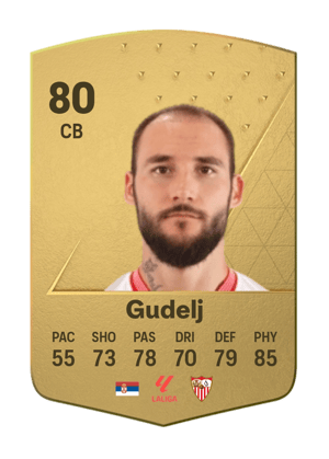 Nemanja Gudelj