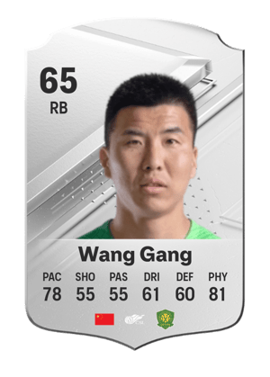 Wang Gang