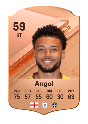 Lee Angol