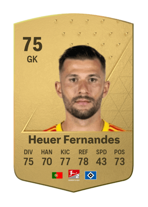 Daniel Heuer Fernandes