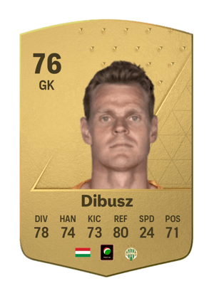 Dénes Dibusz