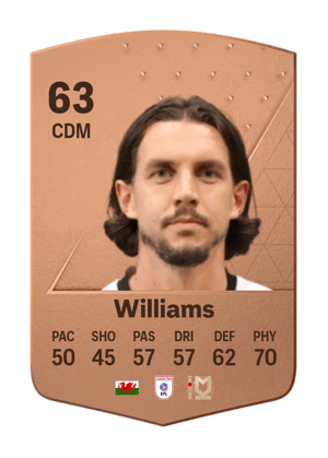 MJ Williams
