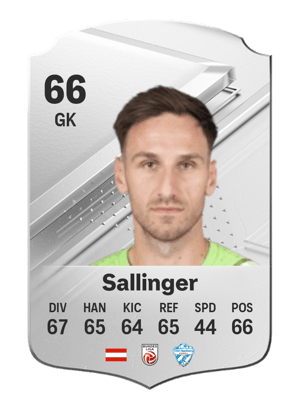 Raphael Sallinger