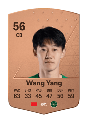 Wang Yang