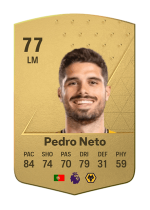 Pedro Neto