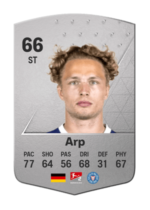 Jann-Fiete Arp