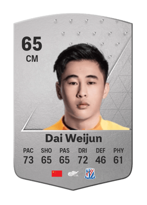 Dai Weijun
