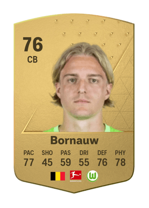 Sebastiaan Bornauw