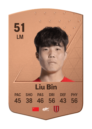 Liu Bin