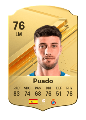 Puado