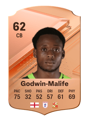 Udoka Godwin-Malife