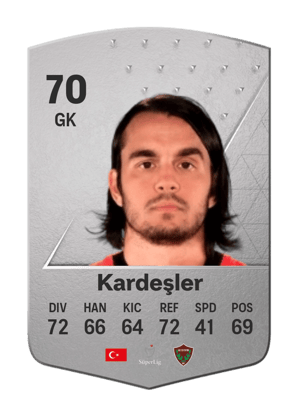 Erce Kardeşler